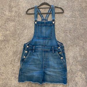 Madewell Adirondack Overall Shorts Size M